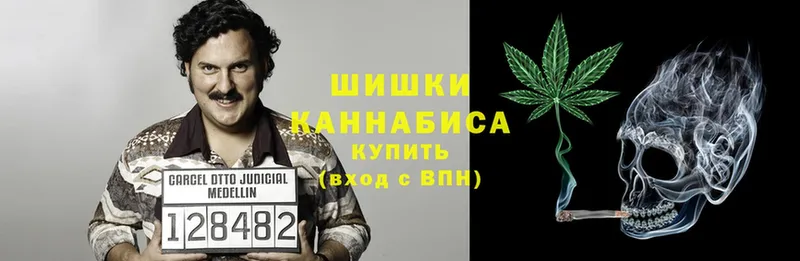 как найти   Змеиногорск  Марихуана White Widow 